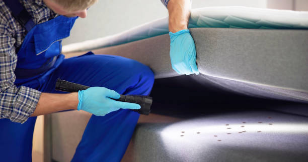 Pest Control for Restaurants in Biscoe, NC